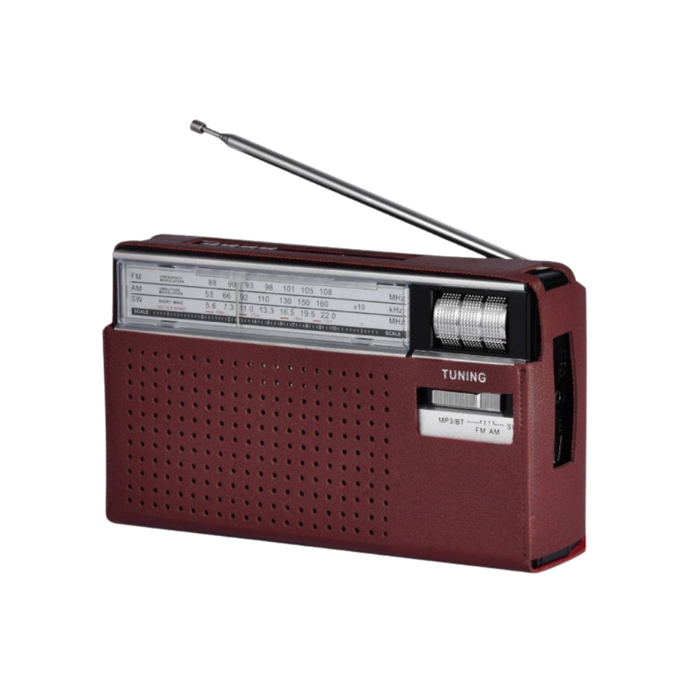 Portable Multi-Band Radio with Bluetooth and MP3 Playback