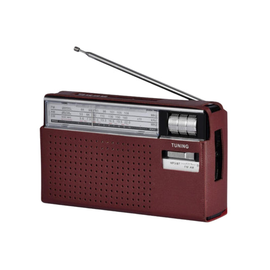 Portable Multi-Band Radio with Bluetooth and MP3 Playback
